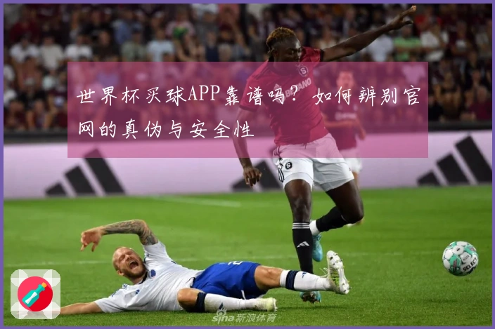 世界杯买球APP靠谱吗？如何辨别官网的真伪与安全性
